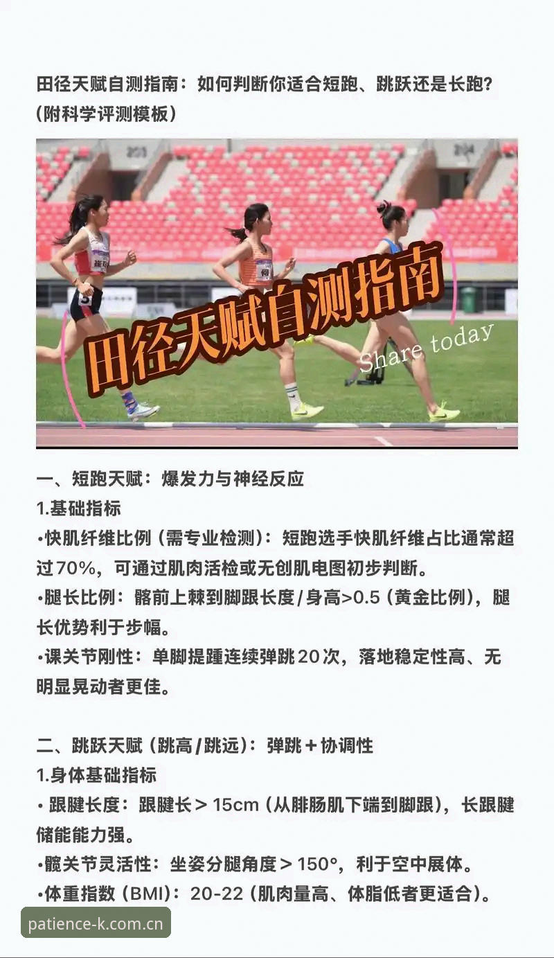 K体育官方数据体验报告：耐心比直觉更准，我用三周验证了这个判断